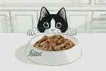 Felix - As Good As it Looks